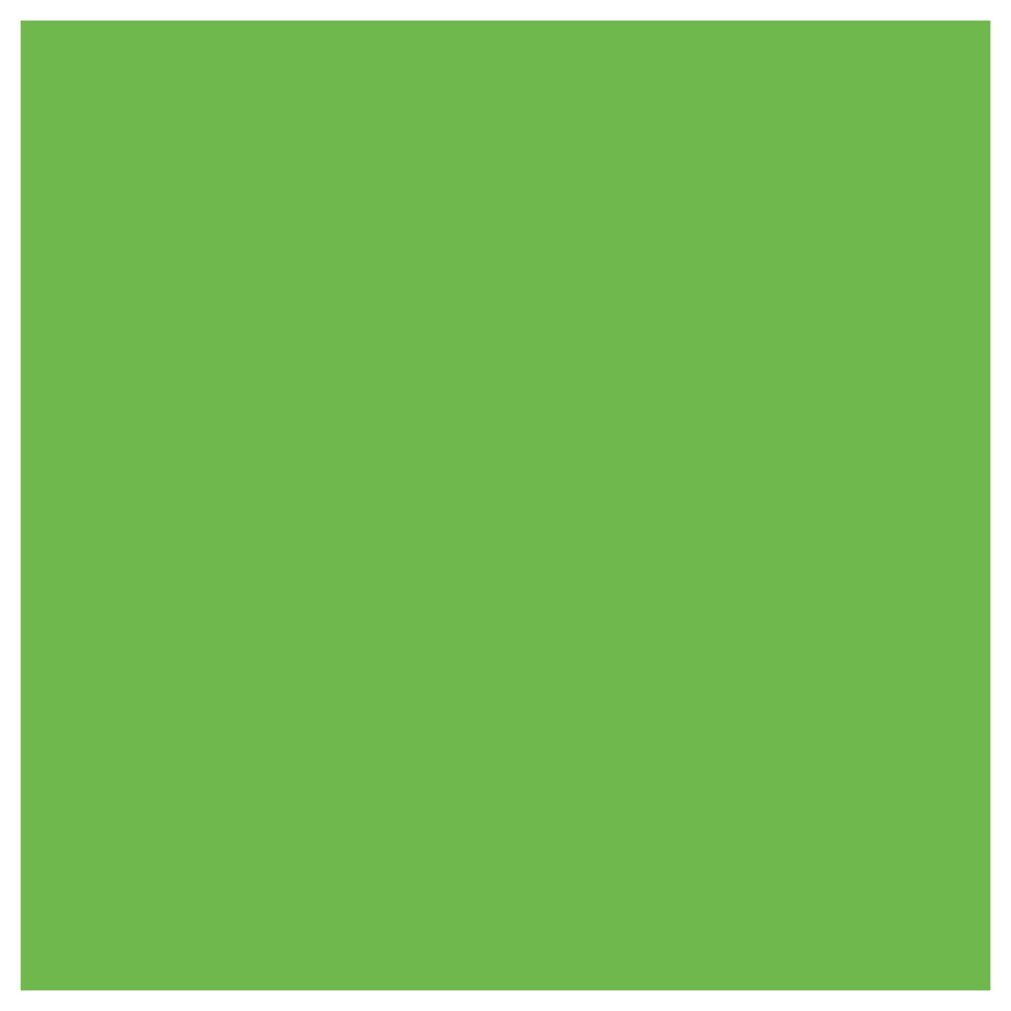 Green Apple Siser EasyWeed 15 – MyVinylCircle